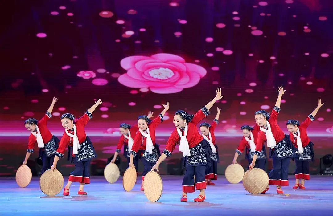 澳门银座登录和注册